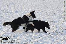Bild "http://button.sarahsahni.de/board/galerien/Button-BLOG-2009-2011/vorschau/img2010-01-26_035.jpg"