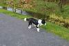 Bild "IMG2009-11-23_691_B24W_Low.jpg"