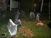 Bild "IMG2011-10-29_012.jpg"