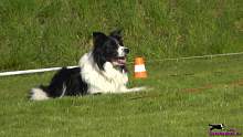 Bild "http://button.sarahsahni.de/board/galerien/Button-OB3-Pruefung_2015_April/vorschau/Button_09_2015-04-18.jpg"