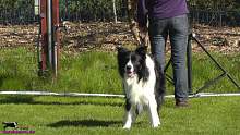 Bild "http://button.sarahsahni.de/board/galerien/Button-OB3-Pruefung_2015_April/vorschau/Button_12_2015-04-18.jpg"