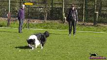 Bild "http://button.sarahsahni.de/board/galerien/Button-OB3-Pruefung_2015_April/vorschau/Button_15_2015-04-18.jpg"
