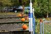 Bild "IMG2012-10-27_010.JPG"