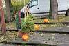 Bild "IMG2012-10-27_011.JPG"