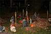 Bild "IMG2012-10-27_027.JPG"