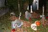 Bild "IMG2012-10-27_028.JPG"
