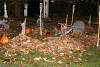 Bild "IMG2012-10-27_029.JPG"