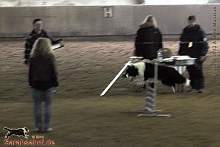 Bild "Button_2013-02-17_001_1024x.jpg"