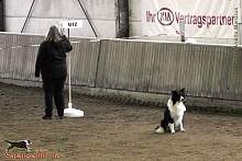 Bild "Button_2013-02-17_002_1024x.jpg"