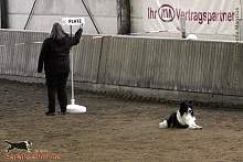 Bild "Button_2013-02-17_004_1024x.jpg"