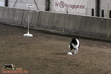 Bild "Button_2013-02-17_005_1024x.jpg"