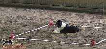 Bild "Button_2013-02-17_006_1024x.jpg"