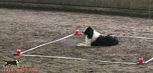 Bild "Button_2013-02-17_007_1024x.jpg"