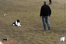 Bild "Button_2013-02-17_010_1024x.jpg"