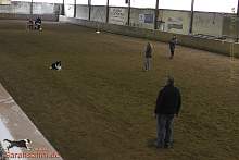 Bild "Button_2013-02-17_012_1024x.jpg"