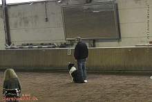 Bild "Button_2013-02-17_014_1024x.jpg"