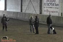 Bild "Button_2013-02-17_015_1024x.jpg"