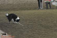 Bild "Button_2013-02-17_016_1024x.jpg"