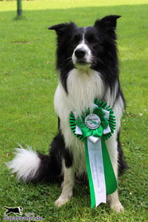 Bild "HUNDESPORT-ERFOLGE:Low_IMG2012-07-10_028_Button-mit-Schleife_320x.jpg"