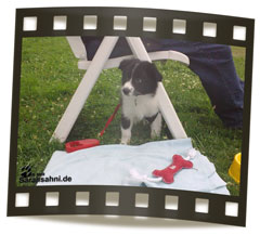 Bild "BUTTON - unser Border:Button_FI_IMG2009-08-09_X002LOW.jpg"
