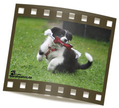 Bild "BUTTON - unser Border:Button_FI_IMG2009-08-13_011LOW.jpg"