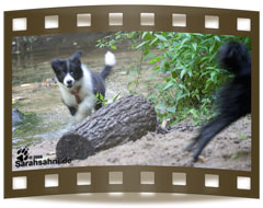 Bild "BUTTON - unser Border:Button_FI_IMG2009-08-19_029LOW.jpg"
