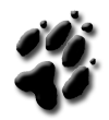 Bild "BUTTON - unser Border:LOGO-Pfote-Pur.png"