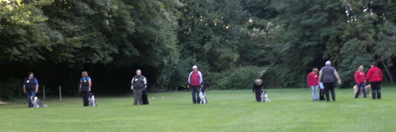 Bild "HUNDESPORT-ERFOLGE:2012-09-01-566_Button_800x.JPG"