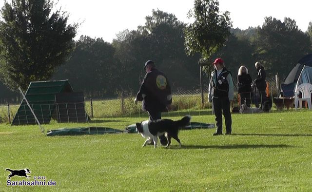 Bild "HUNDESPORT-ERFOLGE:2012-09-30_095935MartinButtonAnette_640x.jpg"