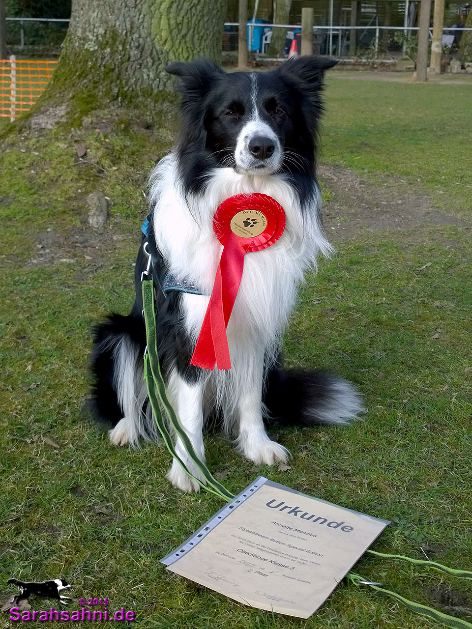 Bild "HUNDESPORT-ERFOLGE:BUTTON_OB-Schleife_22-03-2015.jpg"