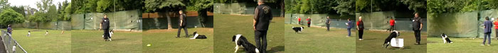 Bild "HUNDESPORT-ERFOLGE:Banner-BUTTON3_OB1_700x75.jpg"