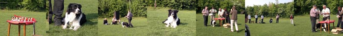 Bild "HUNDESPORT-ERFOLGE:Banner-BUTTON_OB1_700x75.jpg"